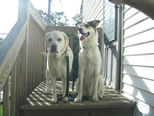 Sydney and Gordon
